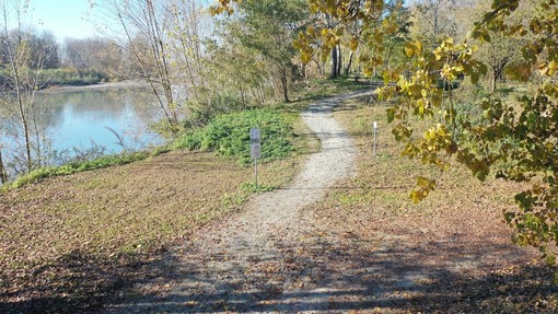 Via libera al finanziamento per valorizzare il Parco del Sabiuné di Chivasso