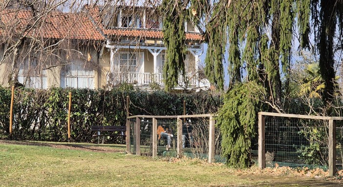 In fondo vicino alla siepe, le due nuove panchine vicine al laghetto del Parco di Villa Widemann