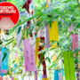 Torino Matsuri 2024: laboratori e spettacoli per celebrare l'estate giapponese