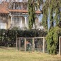 In fondo vicino alla siepe, le due nuove panchine vicine al laghetto del Parco di Villa Widemann