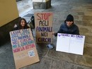 Protesta delle attiviste di Ribellione Animale in via Po: &quot;Stop all'uso degli animali nei circhi&quot;