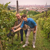 Alla Vigna urbana della Villa della Regina si cambia gestione: secondo Luca Balbiano, a seguito di un bando esclusivamente puntato sull’aspetto economico