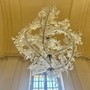 Da Ai Wei Wei a Vanessa Beecroft: la preziosa arte del vetro in mostra alla Reggia di Venaria e al Castello della Mandria