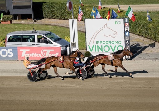 Corse all’Ippodromo di Vinovo per la Festa del Papà: sette gare e sfide all'ultimo trotto