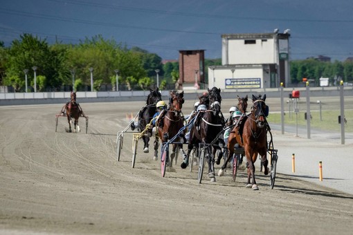 Un grande lunedì di trotto attende l'ippodromo di Vinovo