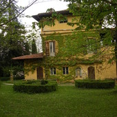 Vigna del Manassé di Moncalieri