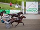 Il Gran Premio Germania clou di un grande mercoledì di trotto a Vinovo