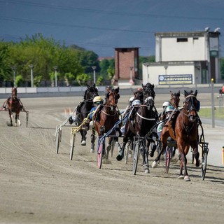 Ippodromo di Vinovo: il 1° settembre la pista riapre con il classico Gran Premio Marangoni