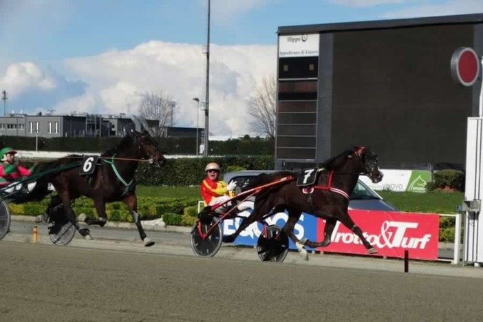 Un lunedì di grande trotto all'ippodromo di Vinovo: 68 i cavalli in pista