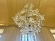 Da Ai Wei Wei a Vanessa Beecroft: la preziosa arte del vetro in mostra alla Reggia di Venaria e al Castello della Mandria