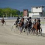 Un grande lunedì di trotto attende l'ippodromo di Vinovo