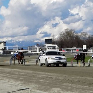 Ippodromo di Vinovo, tornano le pomeridiane del trotto