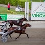 Il Gran Premio Germania clou di un grande mercoledì di trotto a Vinovo