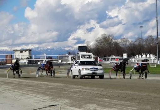 Ippodromo di Vinovo, tornano le pomeridiane del trotto