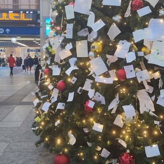 Speranze e desideri nelle lettere appese all'albero di Natale di Porta Nuova