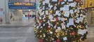 Speranze e desideri nelle lettere appese all'albero di Natale di Porta Nuova