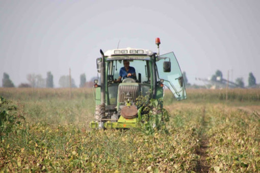 Pagamento aiuti agricoltura, Carenini (Cia): &quot;Inaccettabili i gravi ritardi della Pubblica Amministrazione&quot;