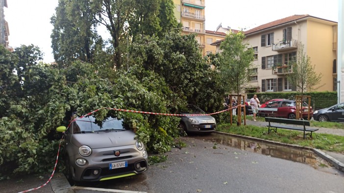 Torino fa i conti col maltempo: pioggia, grandine e alberi caduti (foto di Carlo Granisso)