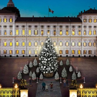 A Torino è Natale: in piazzetta Reale l'albero con un bosco. Il presepe di Luzzati alle Vallette