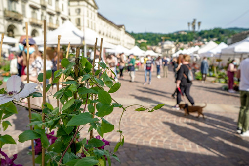 Domenica in piazza Vittorio ultimo appuntamento del 2024 con Agriflor