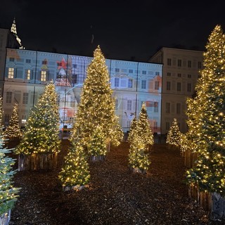 si accende il natale in centro a torino