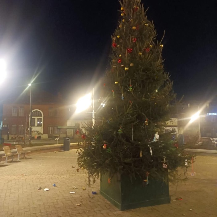 Vandalizzato l’albero di Natale di via Stradella: rabbia e indignazione tra i residenti della Spina