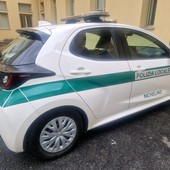 Nichelino, pioggia di multe della Polizia locale per cartelloni pubblicitari abusivi