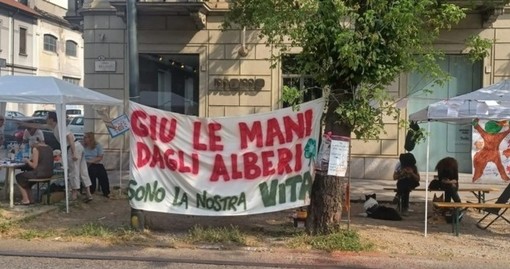 protesta per alberi corso belgio