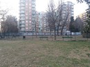 area cani parco di Torino