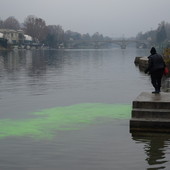 protesta extinction - foto di archivio