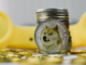 Baby Doge Coin, Brett e Crypto All-Stars protagonisti dell'impennata delle meme coin