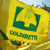Coldiretti Piemonte lancia il manifesto delle priorità per l'agricoltura in vista delle elezioni