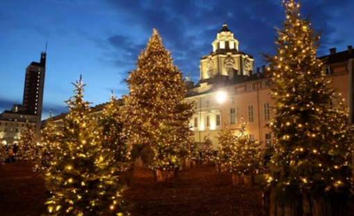 boschetto di Natale con alberi e casette