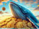 Le whale acquistano BTC in dip ma anche Pepe Unchained in presale che arriva a 12 milioni di dollari