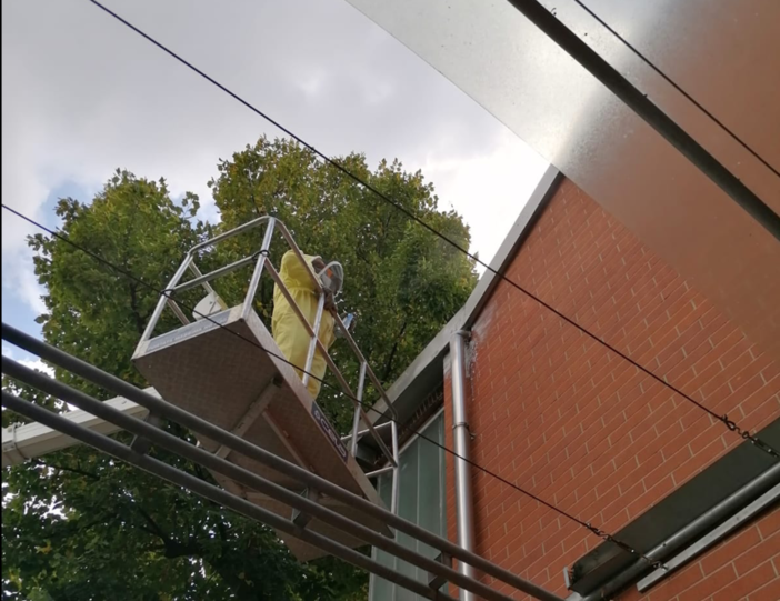 Bonificato il centro sportivo di via Lanzo da un nido di calabroni