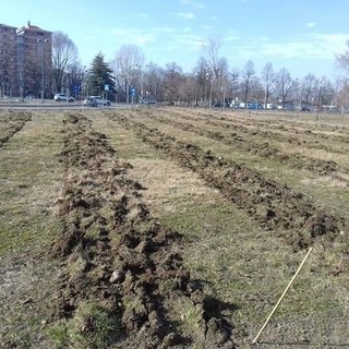 basse di stura - foto d'archivio