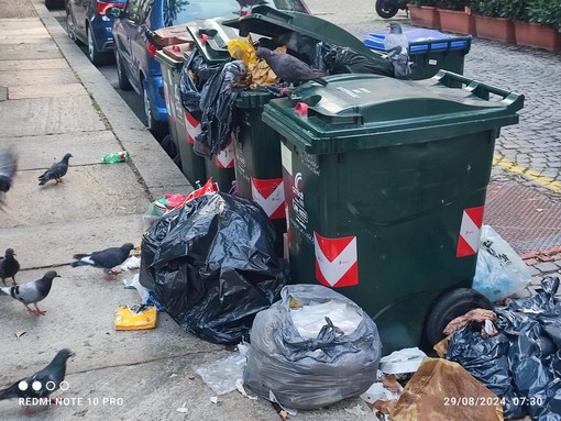 &quot;Torino è sporca&quot;: i cittadini segnalano rifiuti per strada e bidoni maleodoranti