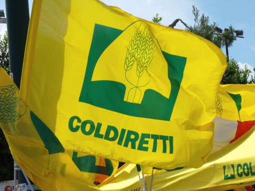 Coldiretti Piemonte lancia il manifesto delle priorità per l'agricoltura in vista delle elezioni
