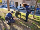 Completato il censimento delle aree cani del Torinese: si vuole contrastare l'abbandono di bocconi avvelenati