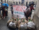 Carbone per la Giunta Lo Russo (foto tratte dalla pagina Fb 'Salviamo gli alberi di corso Belgio')