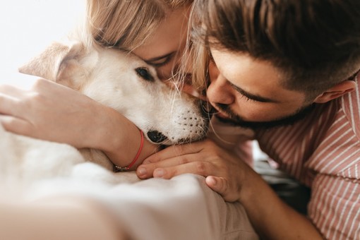 Quattrozampeinfamiglia: quando il web aiuta le adozioni di cani e gatti