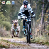 uomo in bici seguito da un cane