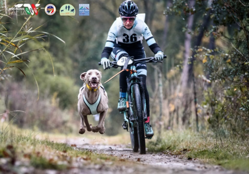 uomo in bici seguito da un cane