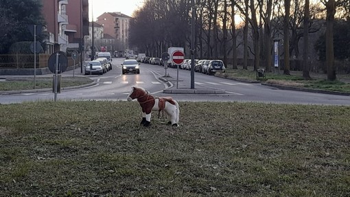 Vanchiglietta: cavallino giocattolo “galoppa” in mezzo alla rotonda, ironia sui social