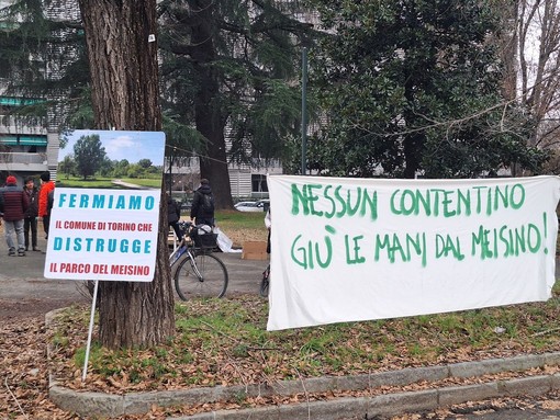 Immagine di repertorio di una protesta del comitato Salviamo il Meisino