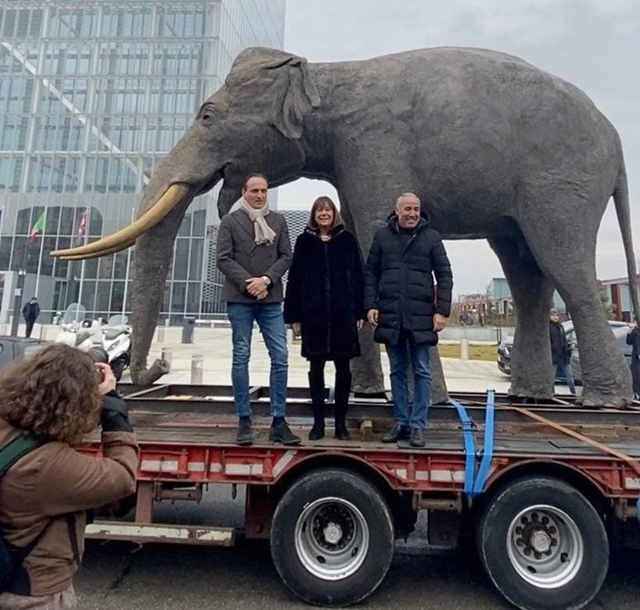 Il tour dell'elefante Fritz si conclude in piazza Castello: venerdì la riapertura del Museo di Scienze Naturali