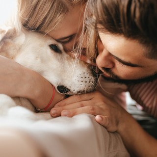 Quattrozampeinfamiglia: quando il web aiuta le adozioni di cani e gatti