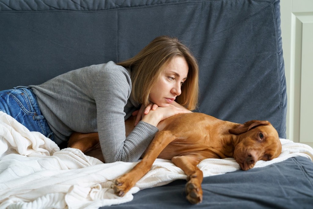 Cosa possiamo dare al nostro cane quando sta solo?