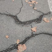 Buche sulla ciclabile: l'asfalto di corso Montecucco e Montegrappa è da rifare