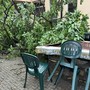 maltempo danni e alberi caduti